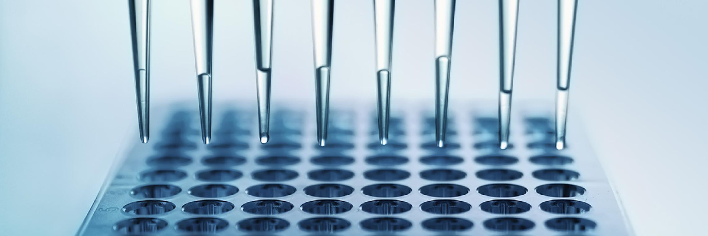 Headerbild Präzisionsmedizin Mikrotiterplatte