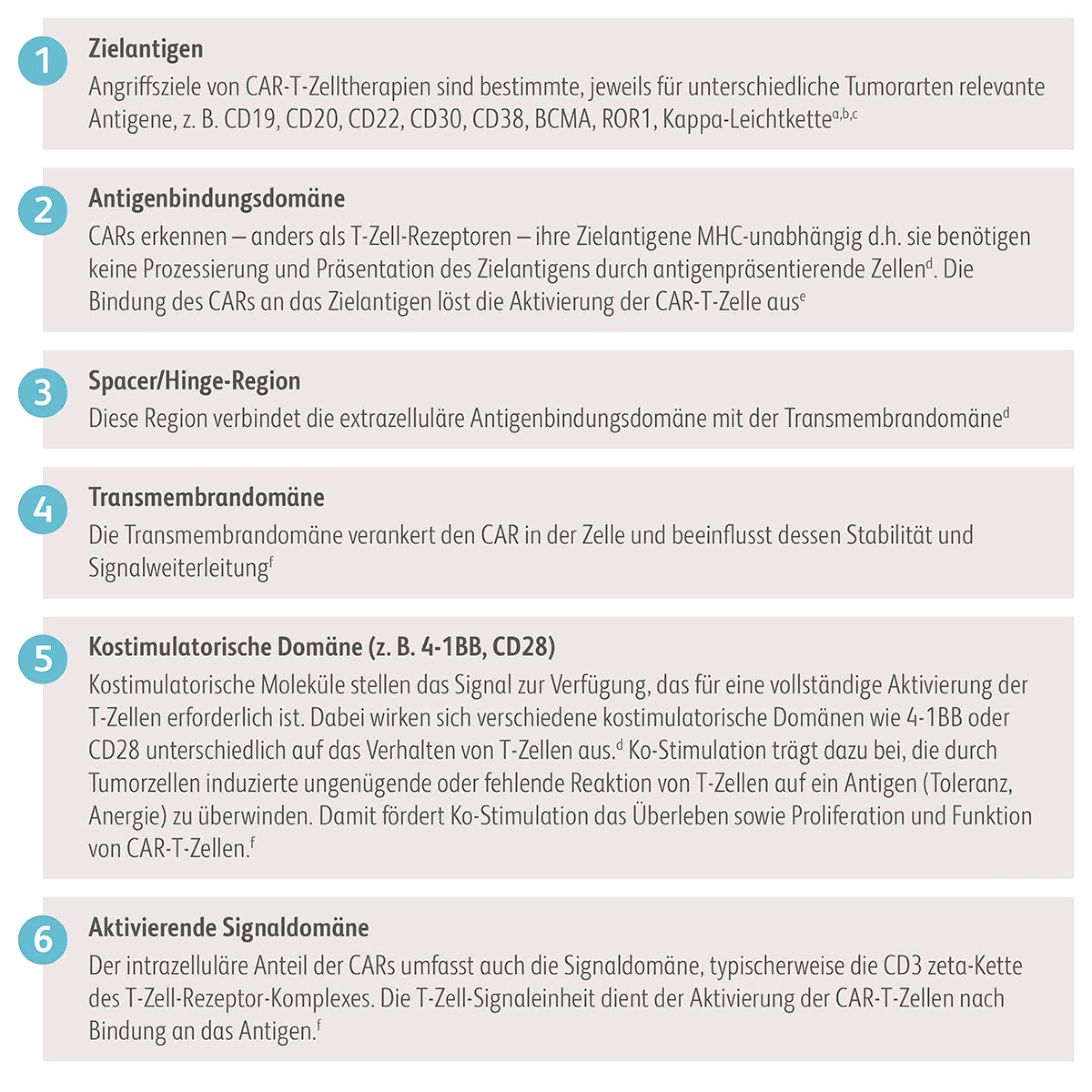 Schaubild Domänen der Aktivierungskaskade des chimären Antigenrezeptors
