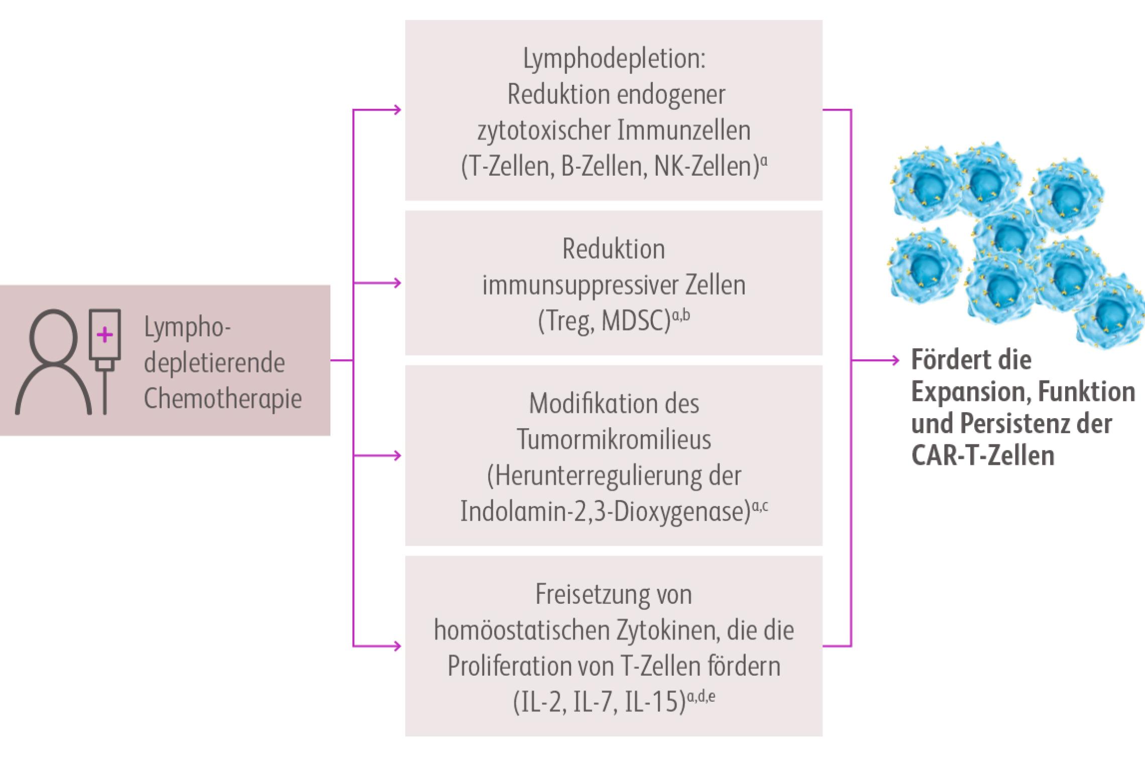 Schaubild Ziele der Konditionierungsbehandlung (lymphodepletierende Chemotherapie) vor der CAR-T-Zelltherapie