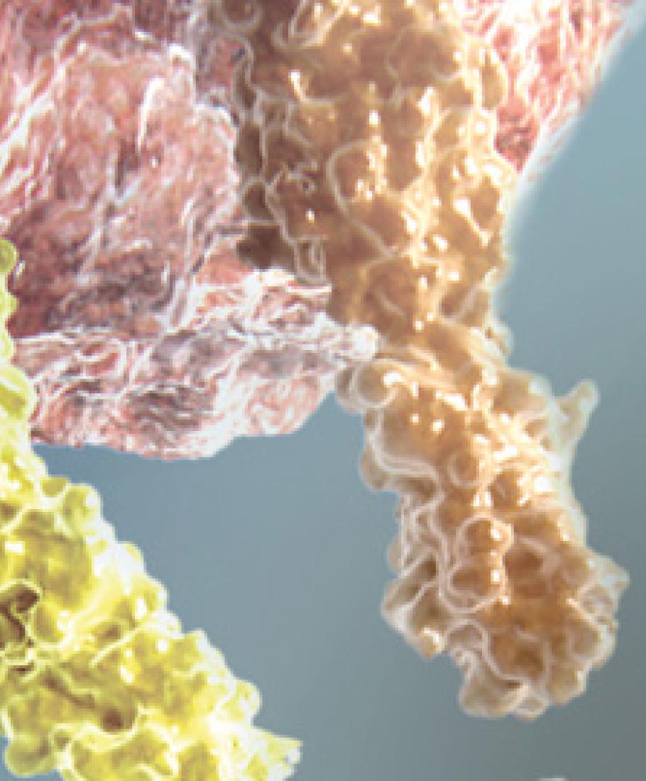 Kachelbild Präzisionsmedizin Unterseite Biomarker PD-L1