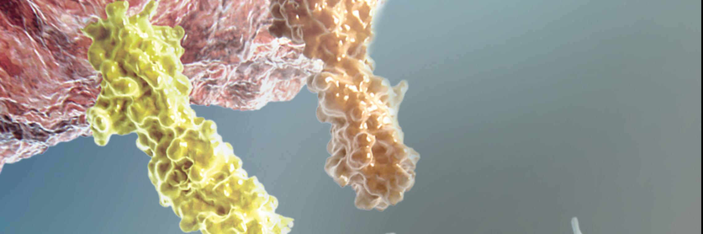 Headerbild PD-L1 Biomarker